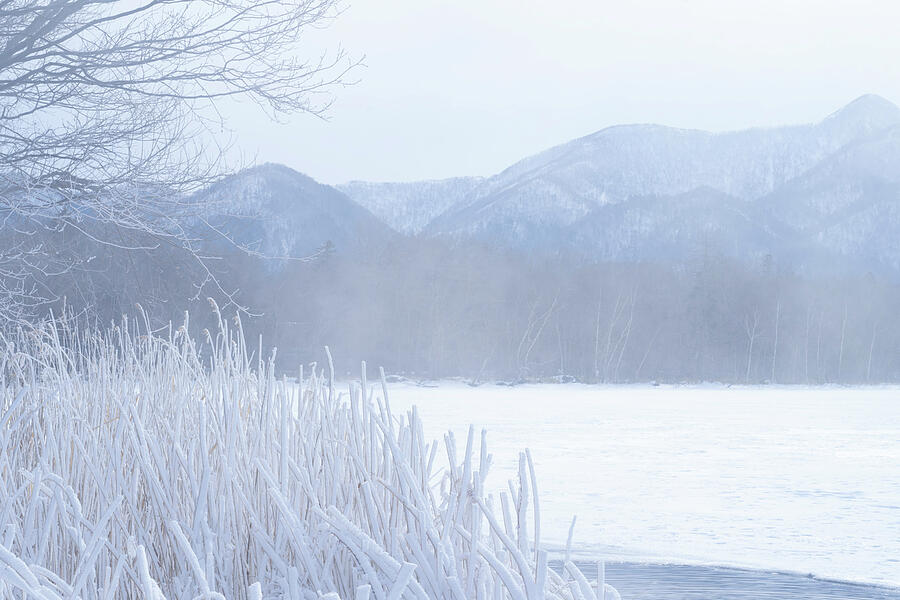 Winter Landscape of Japan #1 Photograph by Kiran Joshi