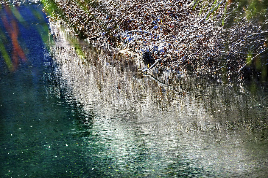 Winter Leaves Snow Ice Wenatchee River Washington Stock Image Image