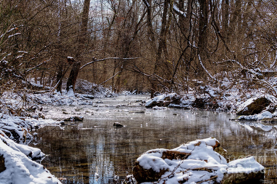 Winter Look Down Galloway Creek Photograph by Jennifer White