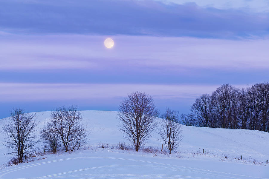 Winter Moonrise Photograph