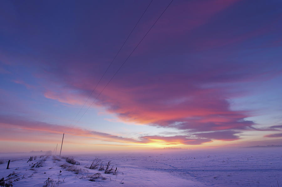 Winter Morning #1 Photograph by Dan Jurak