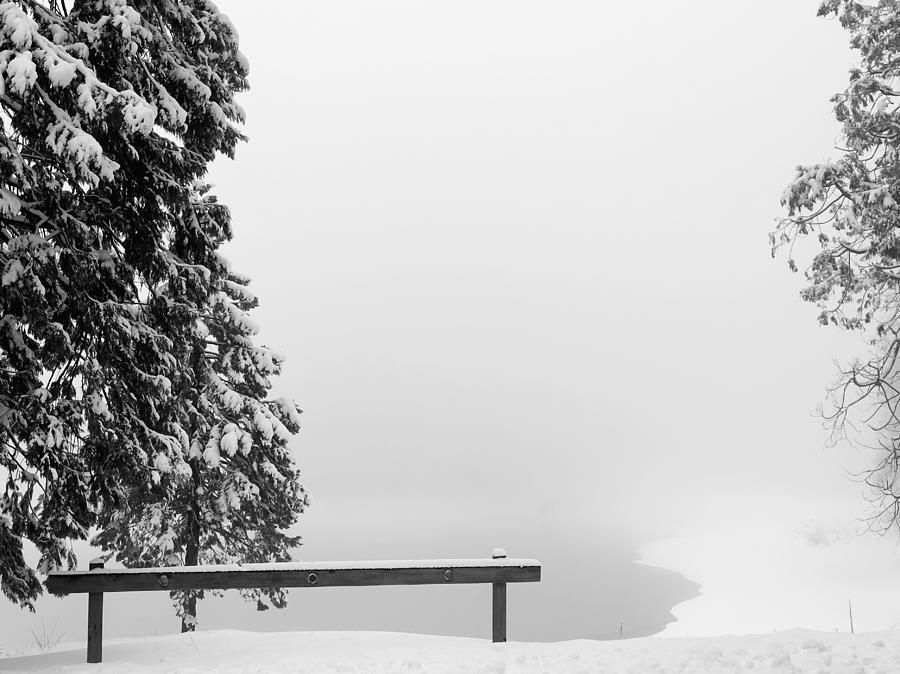 Winter Morning #1 Photograph by Steph Gabler