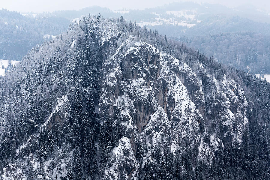Winter mountain landscape in forest Photograph by Sebastian Radu