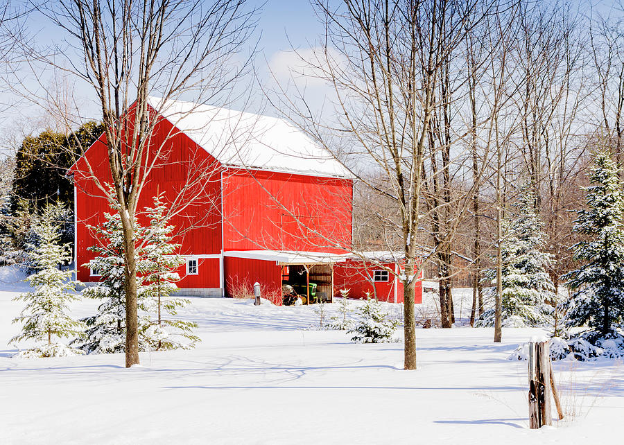 BN-4 Red Barn In Snow Photograph By John Radosevich - Fine Art America