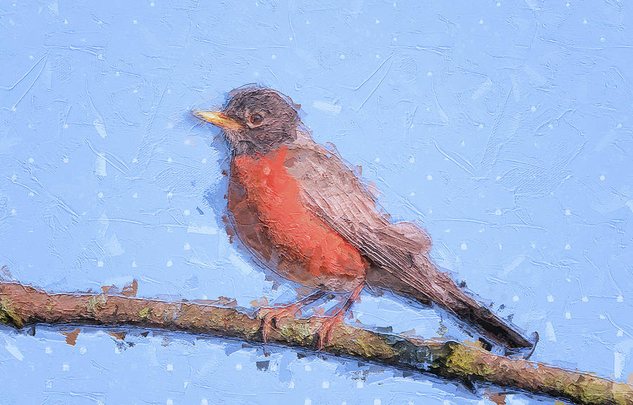 Winter Robin #1 Painting by Dan Sproul