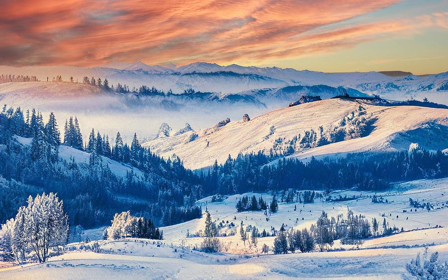 Winter Scene #1 Digital Art by James Inlow