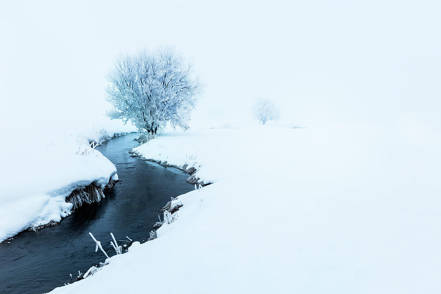 Winter Photograph - Winter Simplicity #1 by Wasatch Light