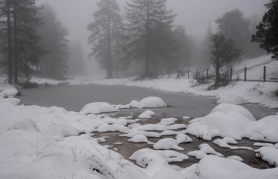 Winter snow forest landscape. Frozel lake #2 Photograph by Michalakis Ppalis