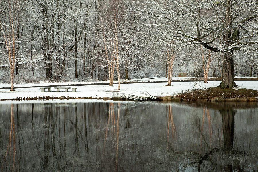 Winter Still by Karol Livote Winter Still by Karol Livote
