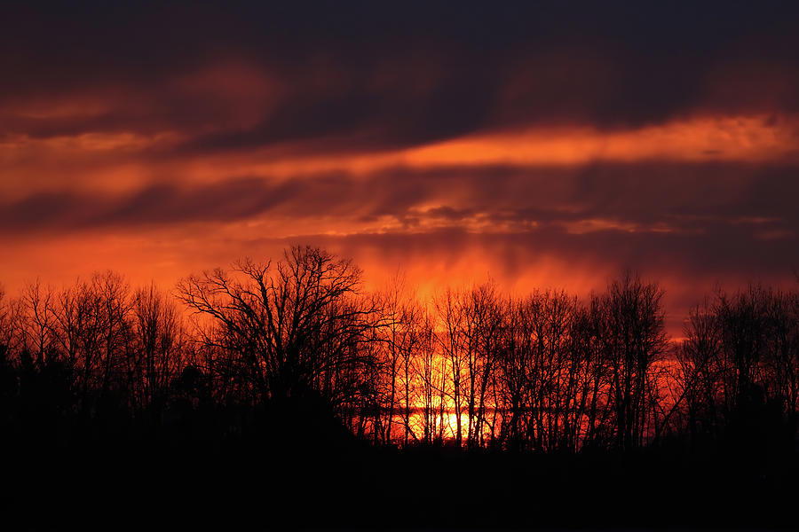 Winter Sunrise #1 Photograph by Brook Burling