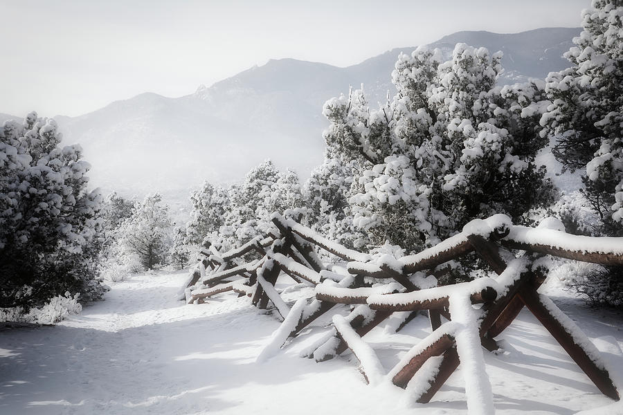 Winter Photograph - Winter Trail Beckons by Diane Alexander