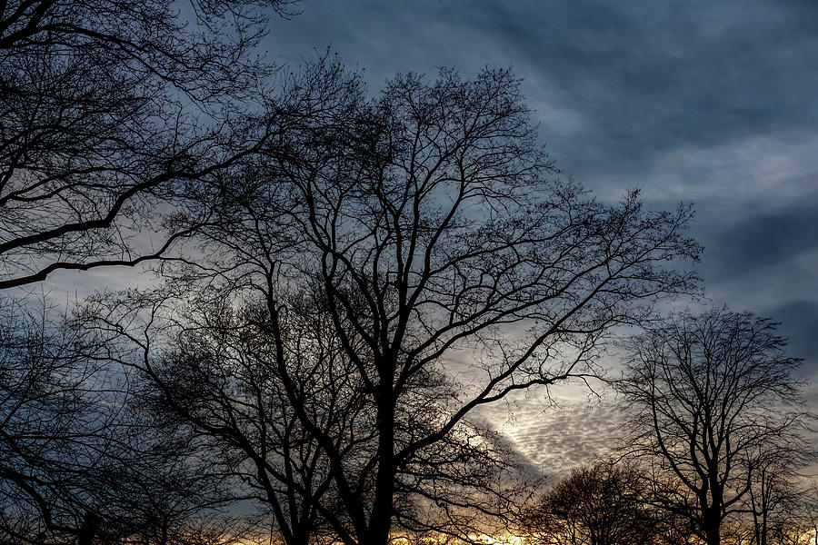 Winter Trees Sky and Clouds at Sunset #1 Photograph by Robert Ullmann