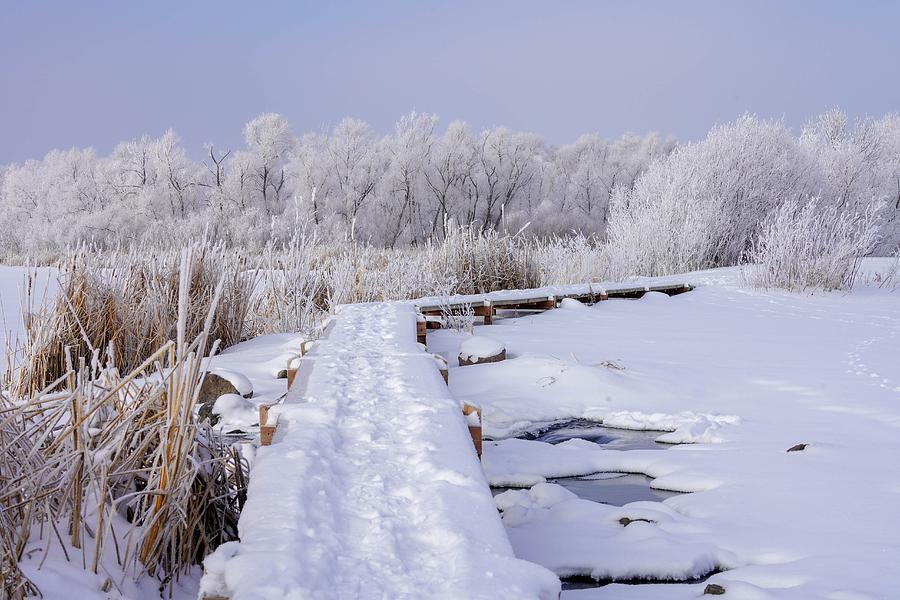 Winter Wonderland at Purgatory Creek #1 Photograph by Susan Rydberg