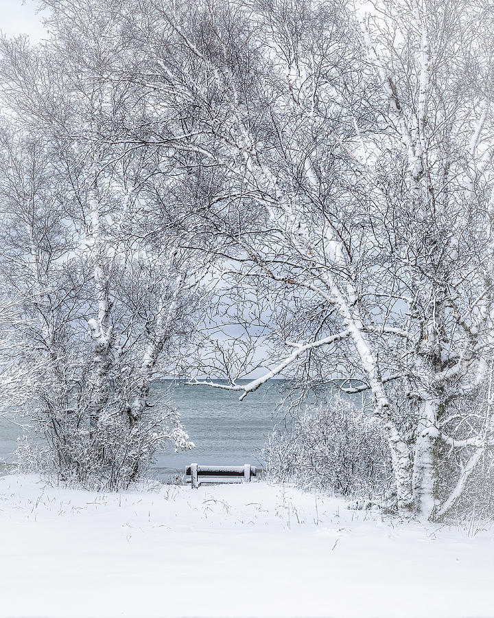Winter Wonderland #1 Photograph by Brad Bellisle
