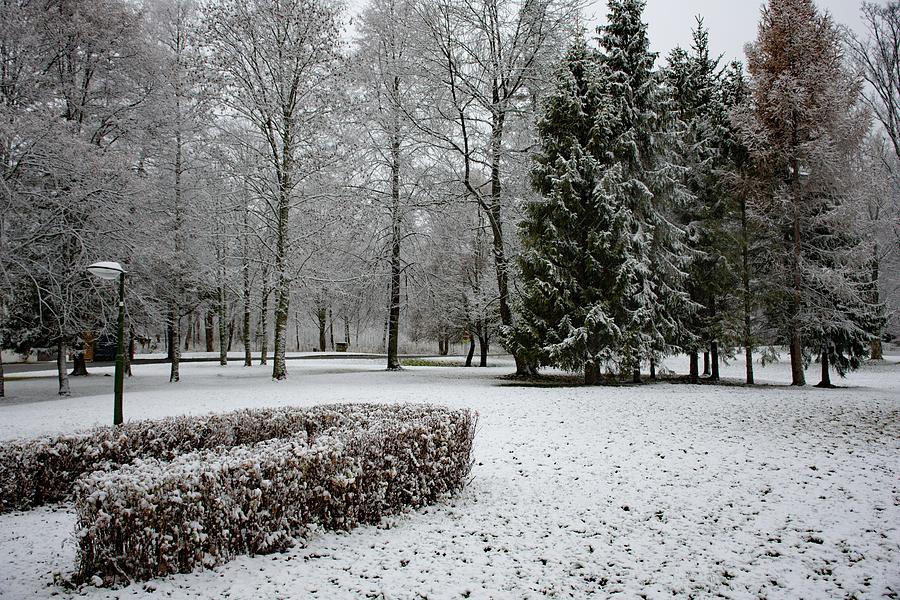 Winter wonderland. #1 Photograph by Robert Grac