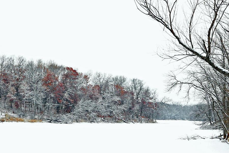 Winter Wonderland #1 Photograph by Sarah Lilja