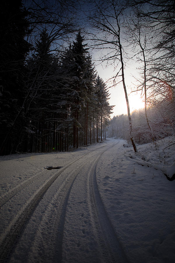 Winter wonderland #1 Photograph by Tobias Gaulke