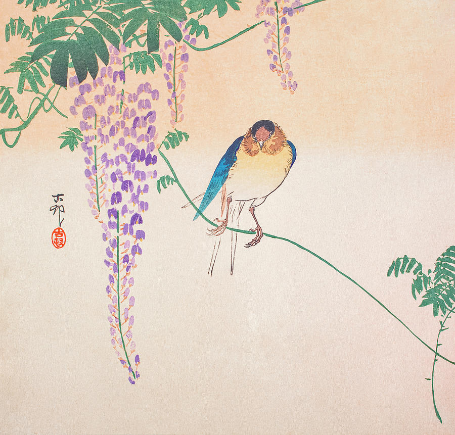 Swallow Painting - Wisteria and Swallow by Ohara Koson by Mango Art