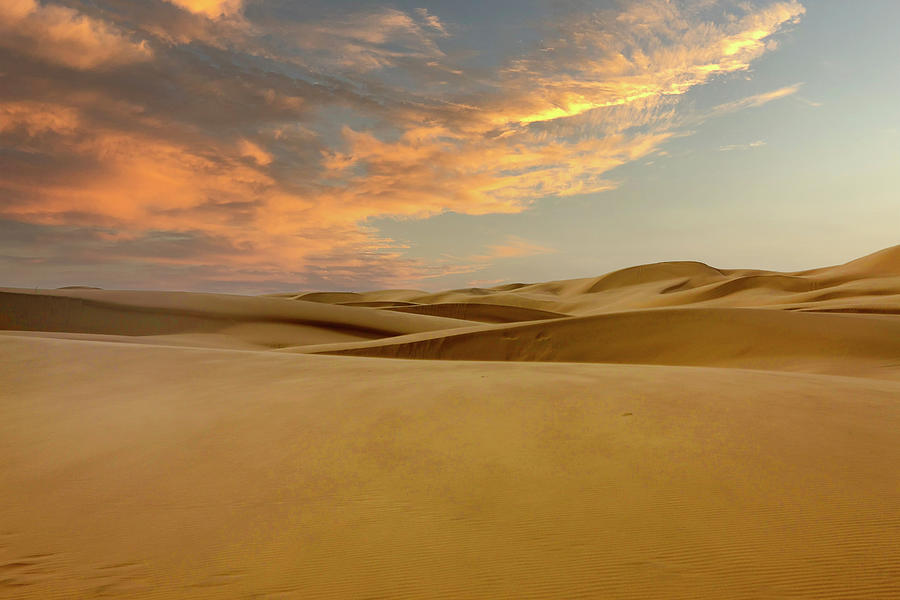 Woahink Lake sand dunes, OR #1 Photograph by Chris Smith