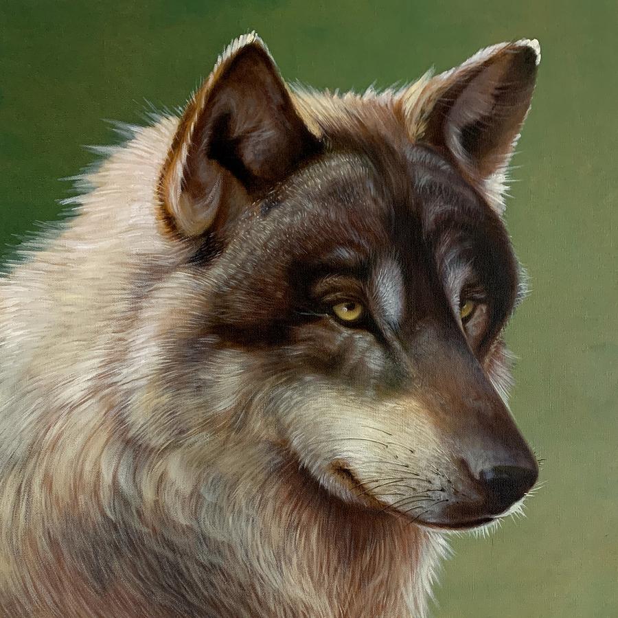 Wolf Portrait Painting By Aniko Vida - Fine Art America