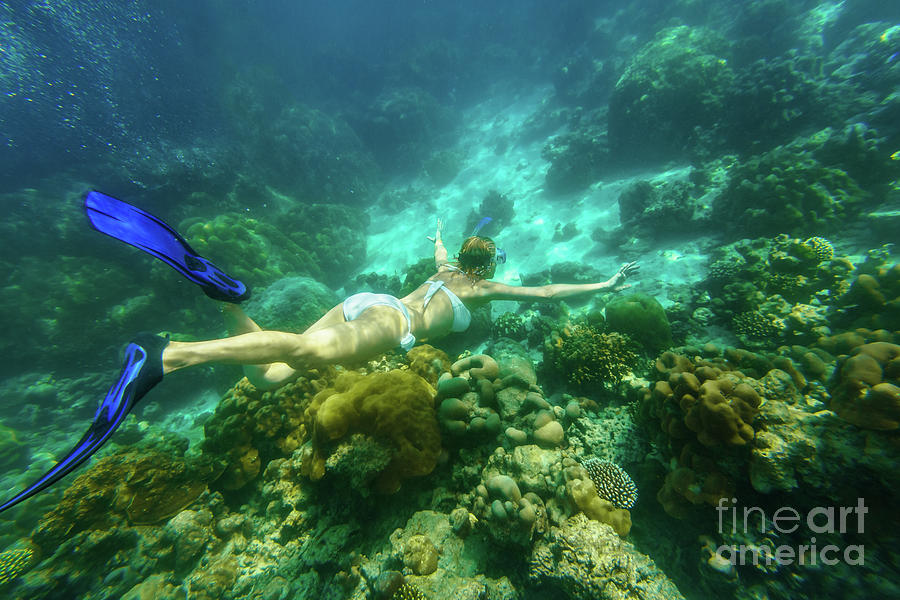 Woman bikini apnea Surin Islands #1 Photograph by Benny Marty