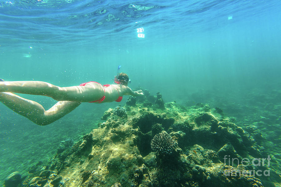 Woman bikini snorkeling Surin Islands #1 Photograph by Benny Marty