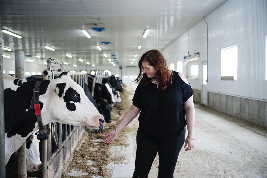 Woman connecting with cow in dairy farm. #1 Photograph by Martinedoucet
