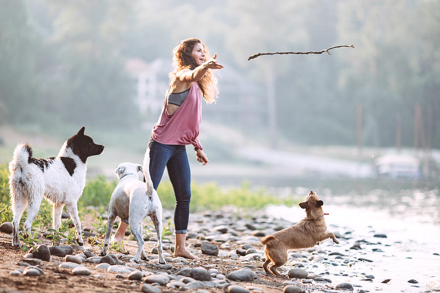 Woman Playing With Dogs at River #1 Photograph by RyanJLane