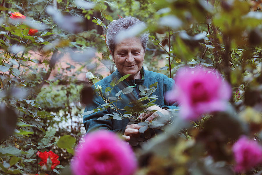 Woman with flowers in the garden #1 Photograph by Tolgart
