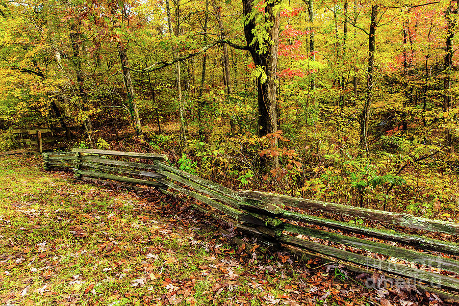 Wood Rail Fence Tennessee #1 Photograph by Ben Graham