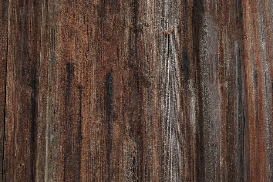 Wooden Fence Background #2 Photograph by Robert Braley
