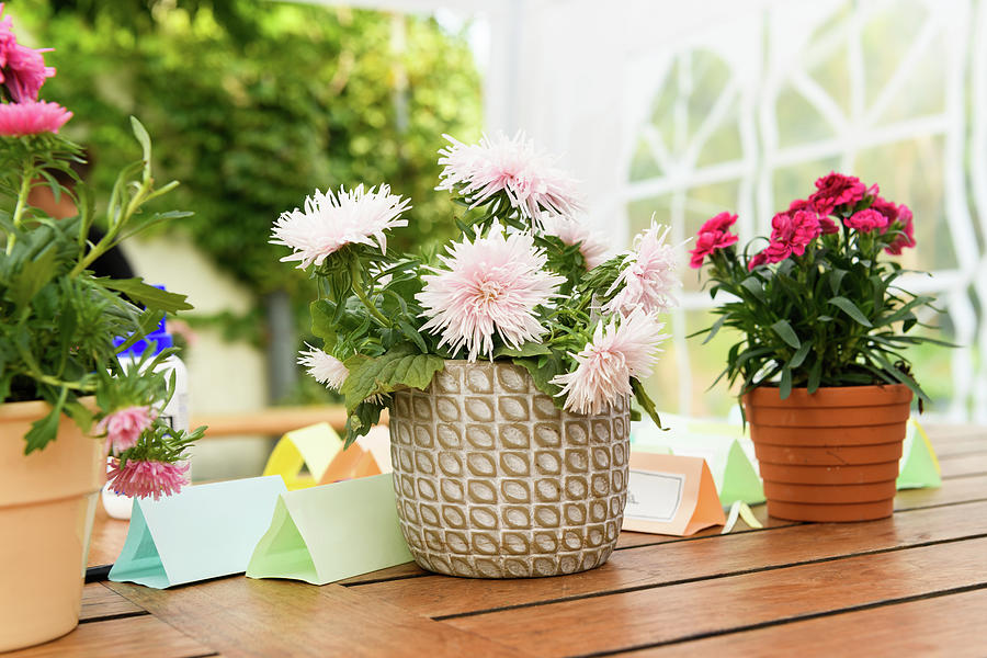 Wooden table with flowers and name cards Photograph by Stefan Rotter ...