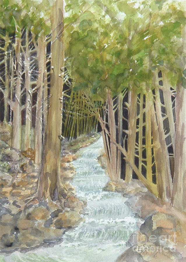 Woodland Creek #1 Painting by Edie Schneider
