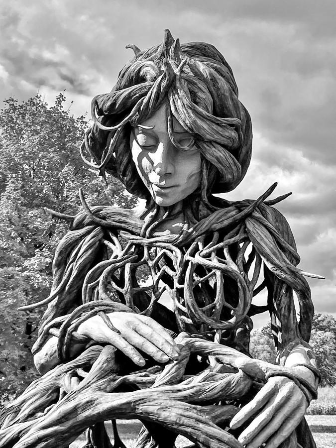 Lady of the Wood Photograph by Sage Photography Fine Art America