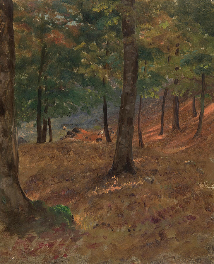 Woodland Scene, from 1870-1880 Painting by Frederic Edwin Church