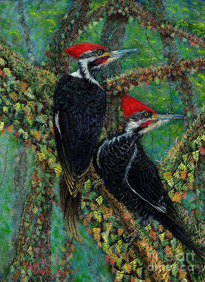 Woodpeckers in the Mist Painting by David Joyner
