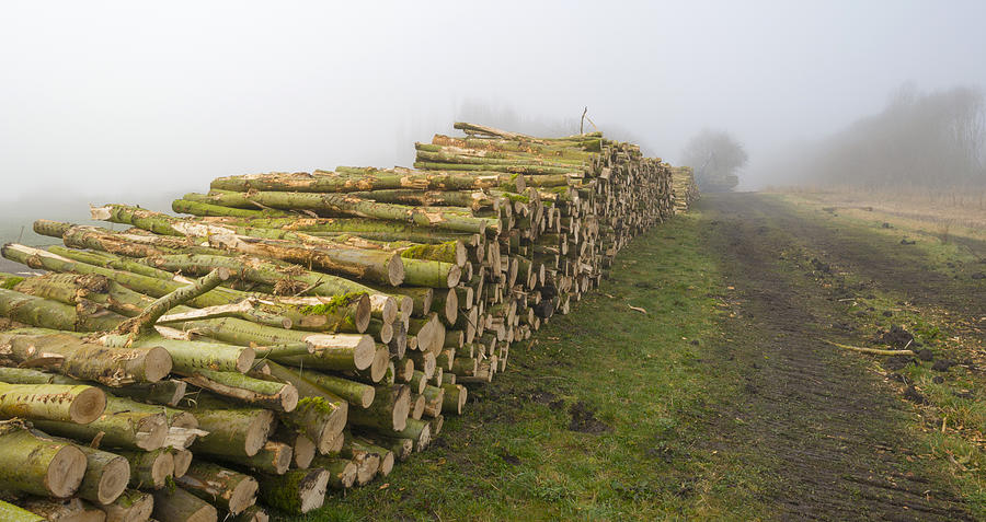 Woodpile near a forest in a foggy winter #1 Photograph by Photonaj
