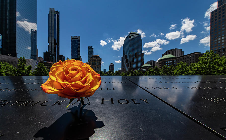 World Trade Center Memorial - Flower Photograph