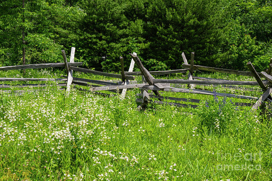 Worm Fence at Gettysburg #1 Photograph by Bob Phillips