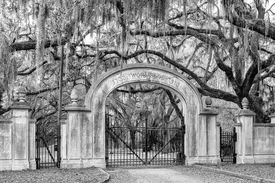 Wormsloe Plantation Gate, Savannah, Georgia #1 Photograph by Dawna Moore Photography