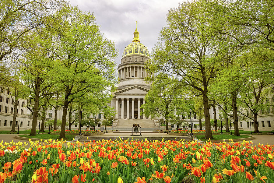 WV State Capitol in Spring #1 Photograph by SC Shank