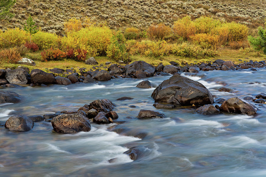 Wyoming Fall Creek  #1 Photograph by Julieta Belmont