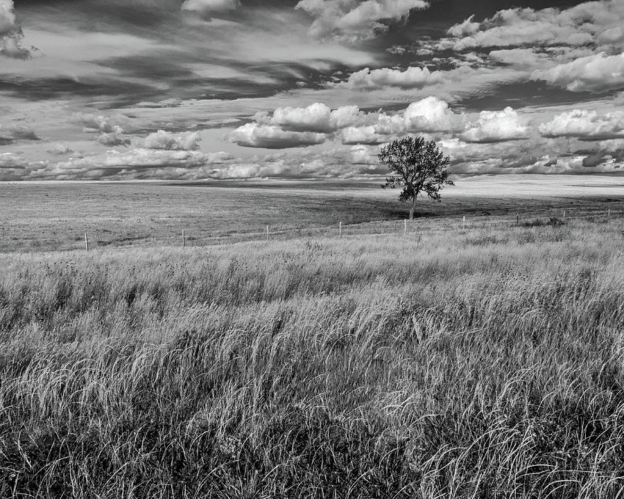 Wyoming Prairie Black and White #2 Photograph by Don Spenner