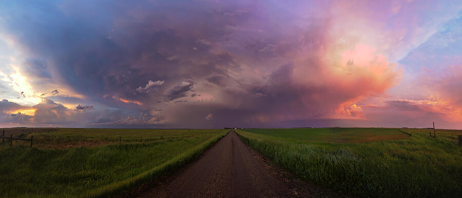 Yale #1 Photograph by Aaron J Groen Yale #1 Photograph by Aaron J Groen