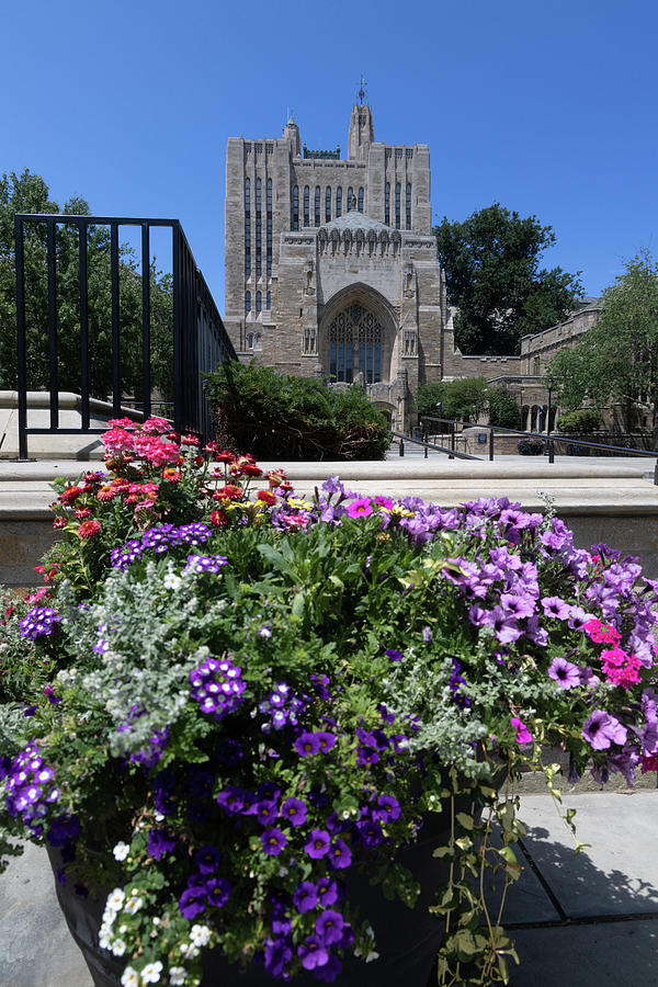 Yale University building with flowers #1 Photograph by Eldon McGraw