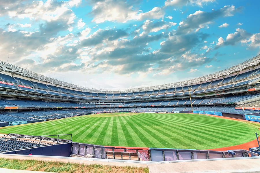 New York Yankees Photograph - Yankees #1 by Manjik Pictures