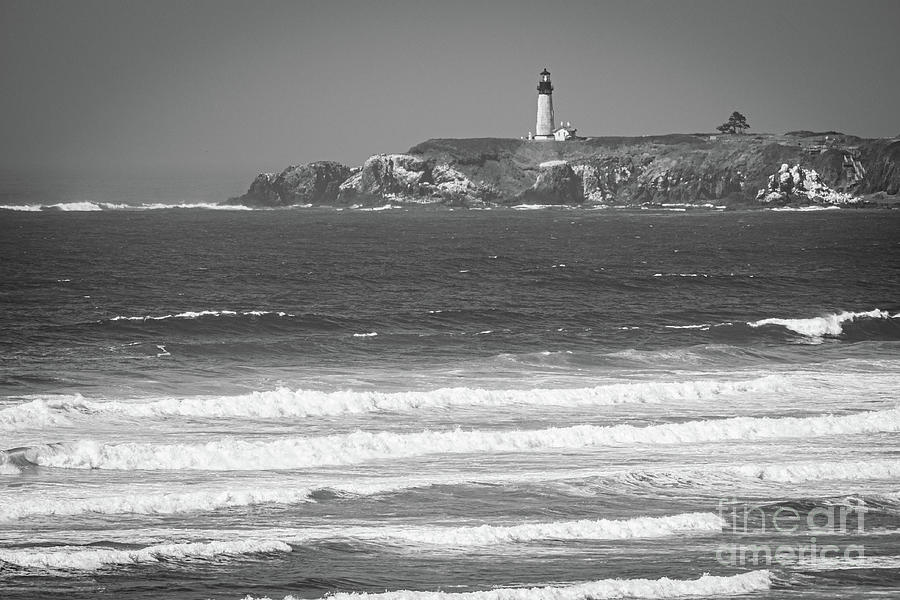 Yaquina Head Lighthouse #1 Photograph by Nick Boren