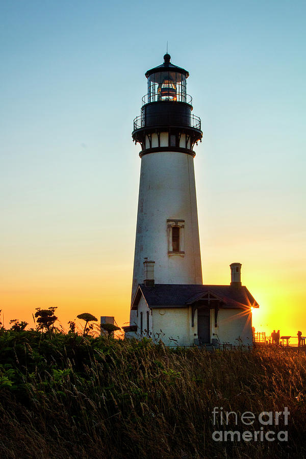 Yaquina Head Lighthouse #1 Photograph by Sonya Lang