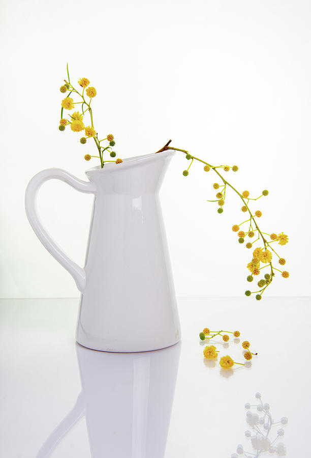 Yellow beautiful flowers on a white vase.  Photograph by Michalakis Ppalis