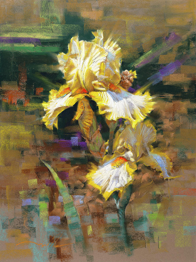 Yellow Iris II #1 Pastel by Mark Mille